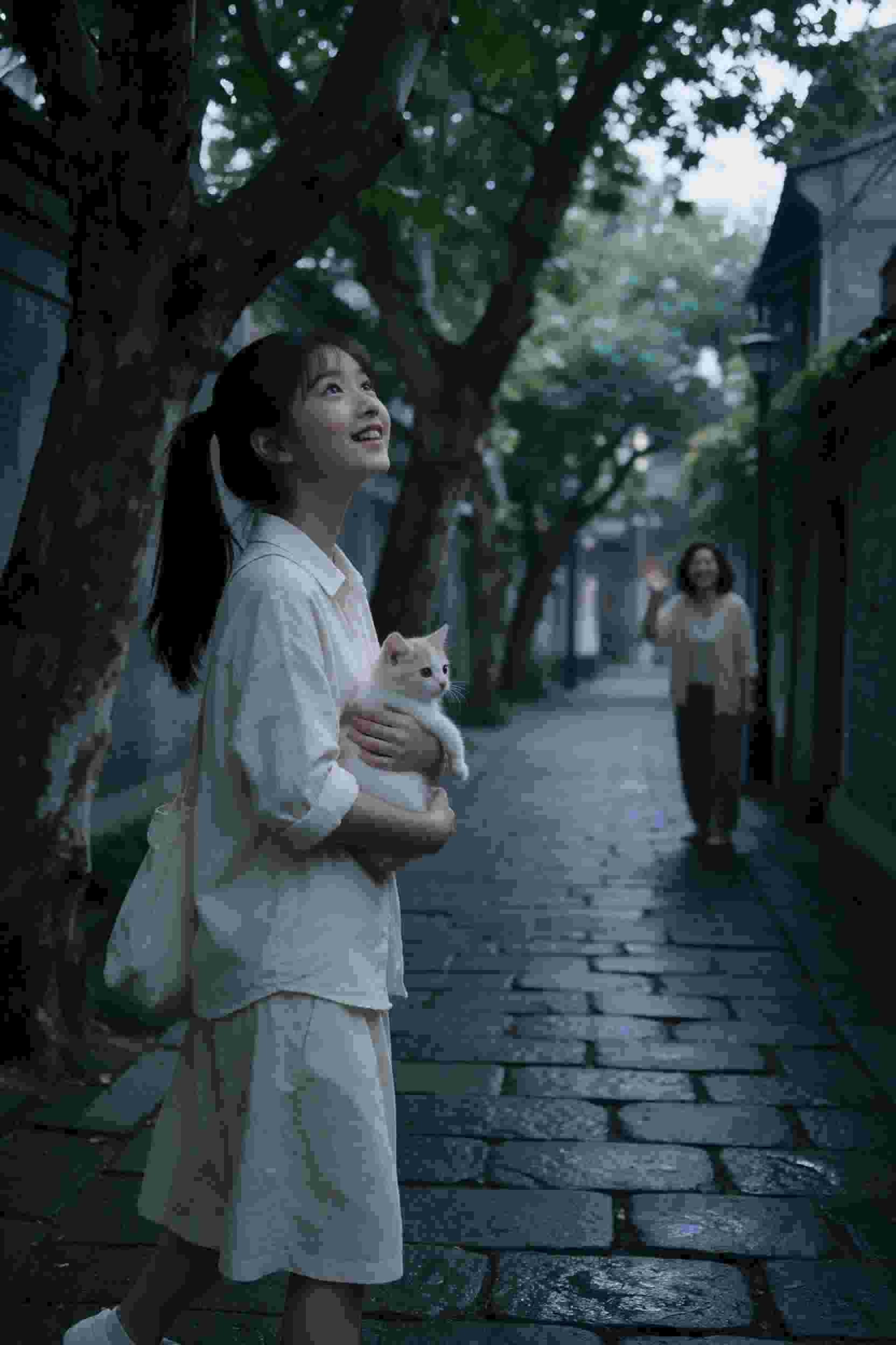 诅咒循环
